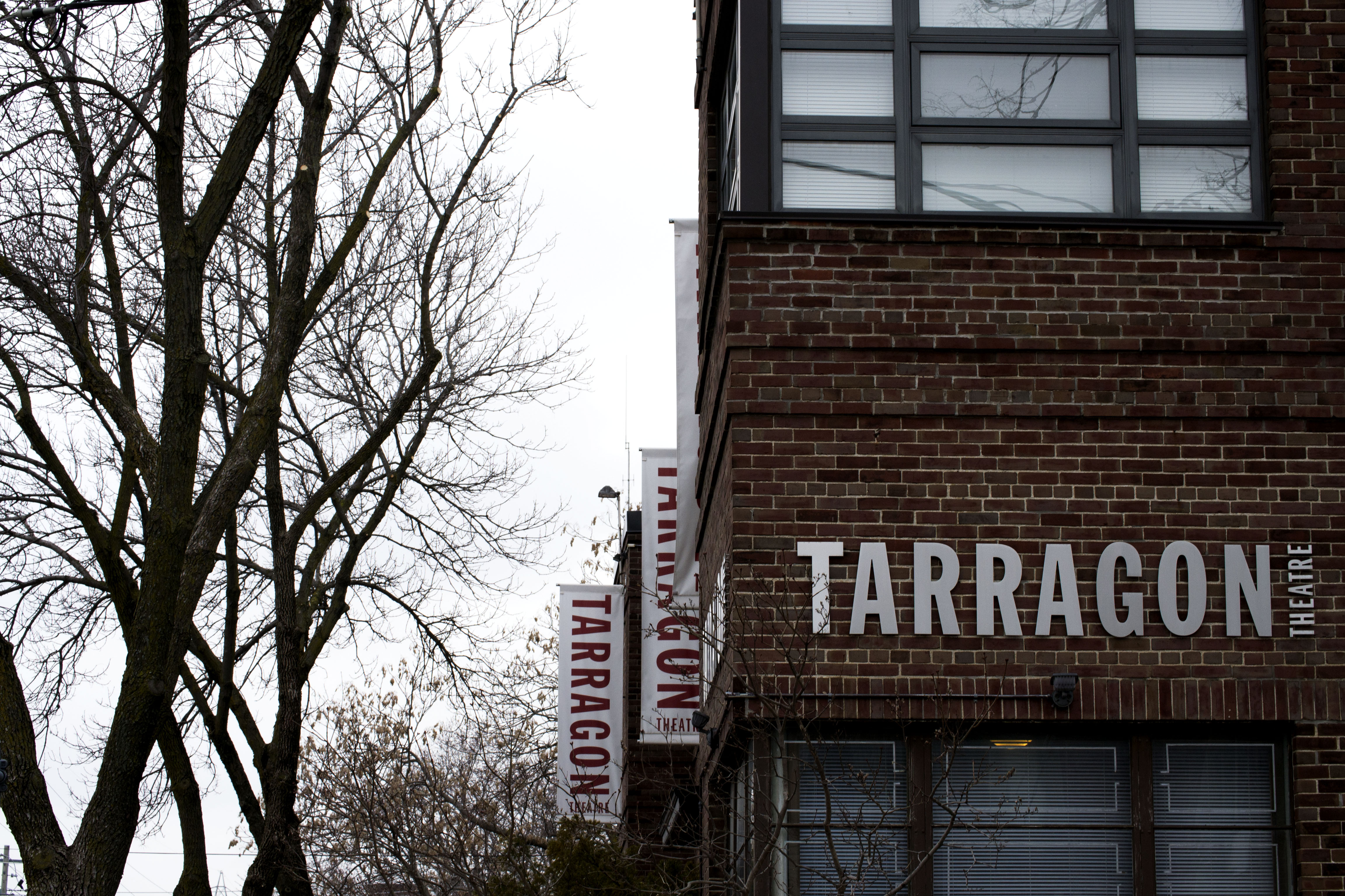 Tarragon Theatre